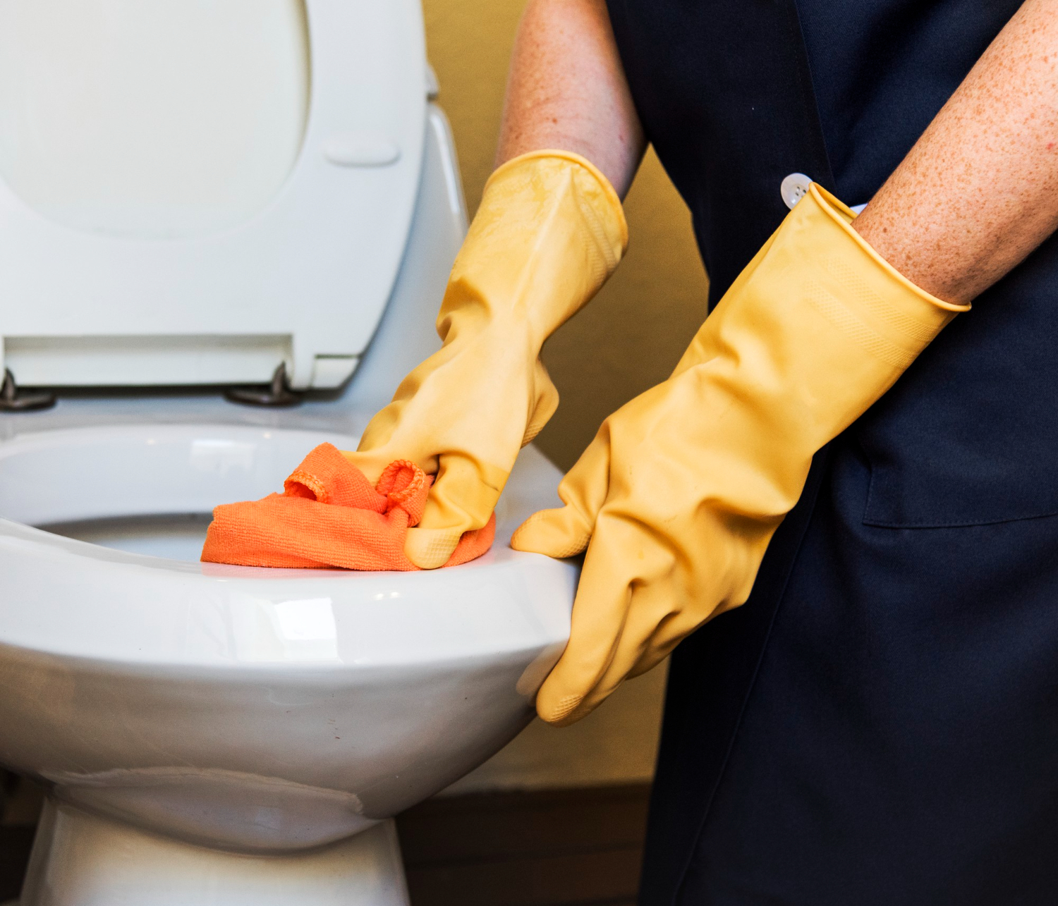 Toilet drain cleaning